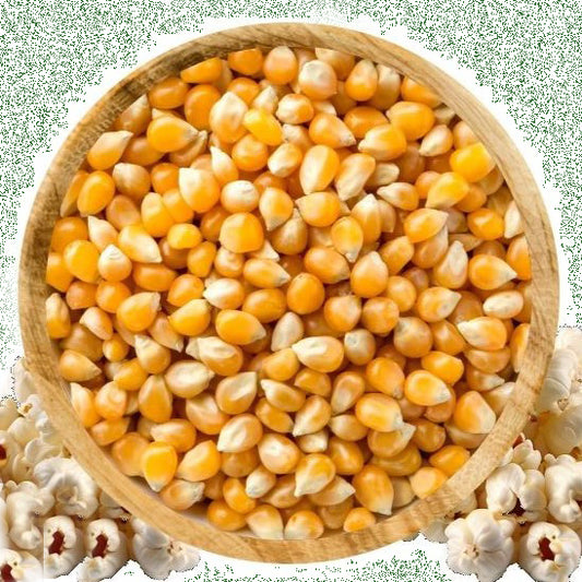 Popping Corn