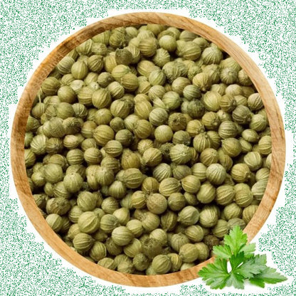 Coriander Seeds